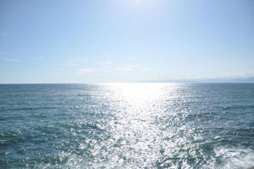 DSC_0061_convert_20120521202639.jpg
