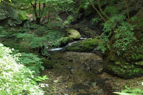 DSC_0067_convert_20120828211342.jpg