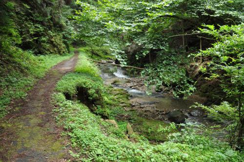 DSC_0074_convert_20120830234623.jpg