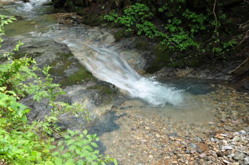 DSC_0076_convert_20120831000335.jpg
