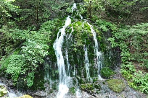 DSC_0081_convert_20120910202104.jpg