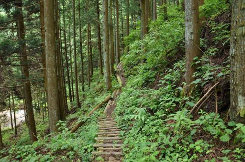DSC_0083_convert_20120831000459.jpg