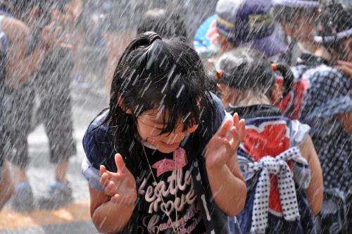 DSC_0088_convert_20120722114747.jpg