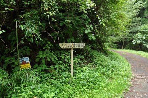 DSC_0106_convert_20120830234450.jpg