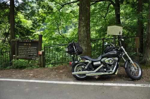 DSC_0111_convert_20120831002014.jpg