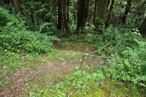 DSC_0114_convert_20120831002700.jpg