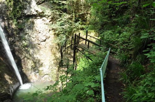 DSC_0119_convert_20120831003129.jpg