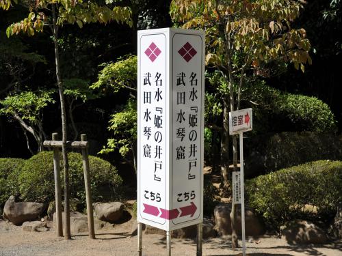 DSC_0128_R.jpg