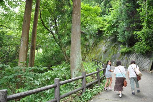 DSC_0128_convert_20120918133938.jpg