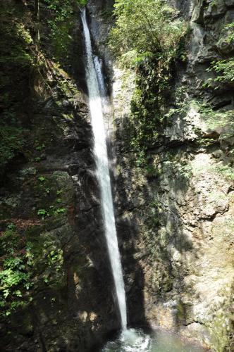 DSC_0147_convert_20120831002930.jpg