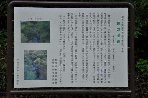 DSC_0165_convert_20120831184944.jpg
