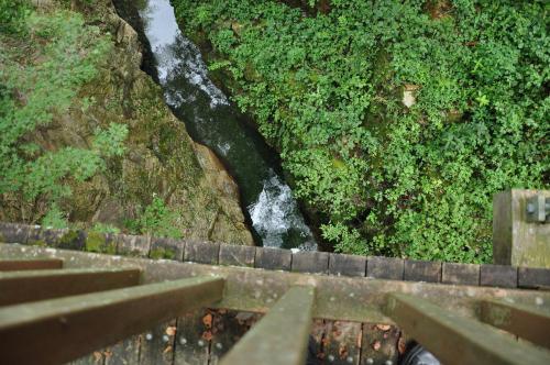 DSC_0172_convert_20120902191243.jpg