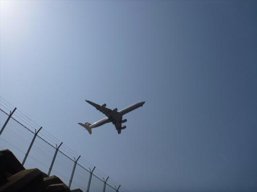 20130309_027.jpg