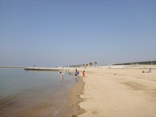 20130309_040.jpg