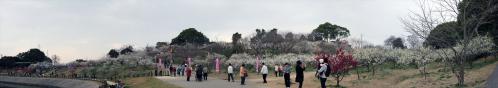 佐布里梅パノラマ