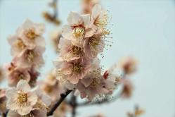 20130310_001.jpg