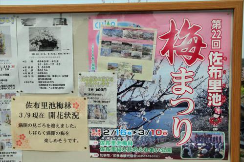 20130310_003.jpg