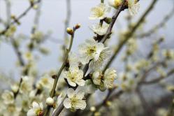 20130310_013.jpg
