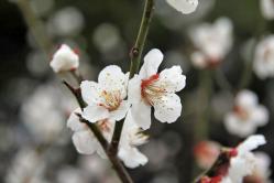 20130310_027.jpg
