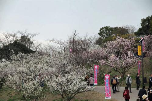 20130310_030.jpg