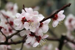 20130310_042.jpg