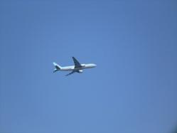 20130413_042.jpg