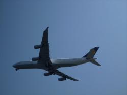 20130413_058.jpg