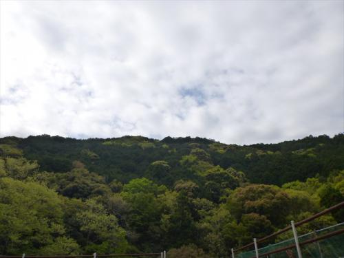 20130421_005.jpg