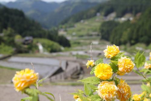 20130429_004.jpg