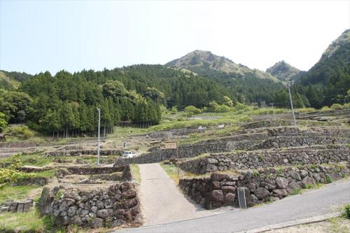 20130429_005.jpg