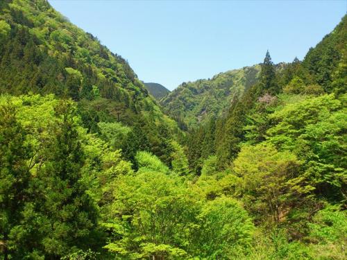 20130429_009.jpg