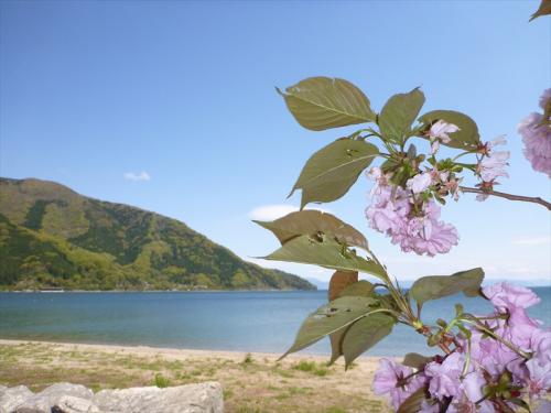 20130503_025.jpg
