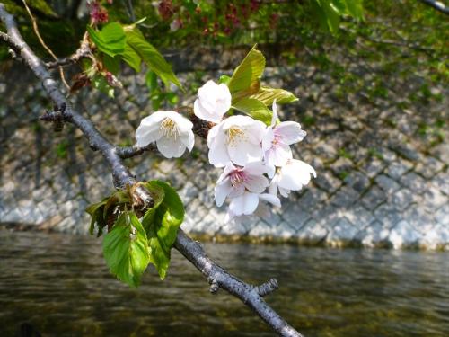 20130504_033.jpg