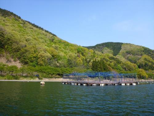 20130504_044.jpg