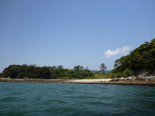 20130525_062.jpg