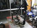 IMG_6423mh.jpg
