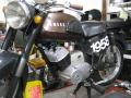IMG_8195yd.jpg