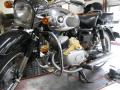 IMG_8235tt.jpg