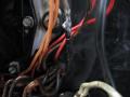 IMG_8238tt.jpg