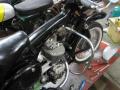 IMG_8241tt.jpg