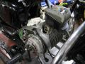 IMG_8243tt.jpg
