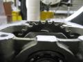 IMG_8273cl72.jpg
