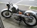 IMG_8282cl72.jpg