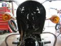 IMG_8296tt.jpg