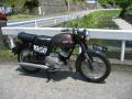 IMG_8335yd.jpg
