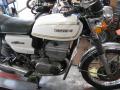 IMG_8368gt.jpg