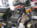 IMG_8372gt.jpg