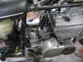 IMG_8373gt.jpg