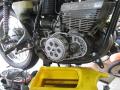 IMG_8381gt.jpg