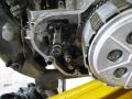 IMG_8382gt.jpg